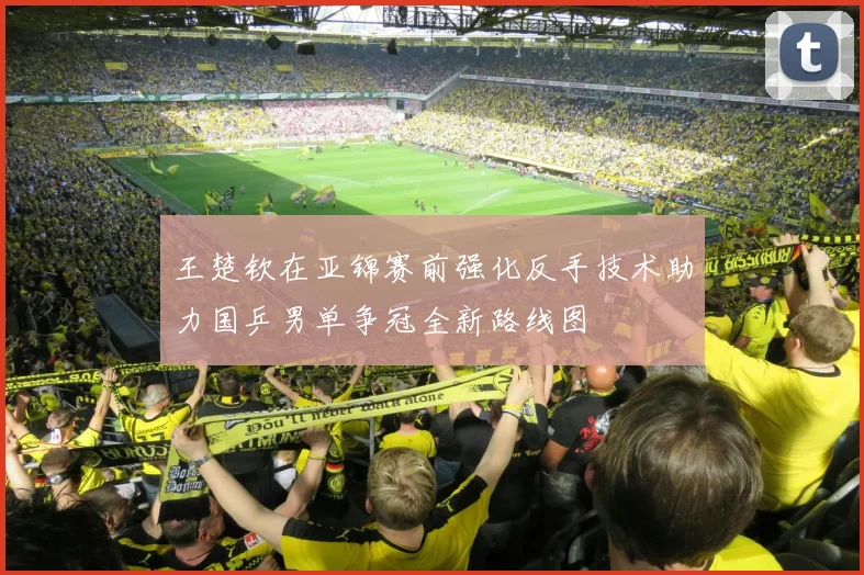 王楚钦在亚锦赛前强化反手技术助力国乒男单争冠全新路线图