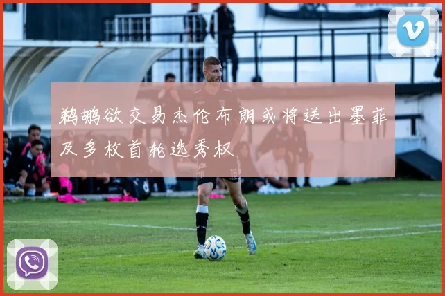 鹈鹕欲交易杰伦布朗或将送出墨菲及多枚首轮选秀权